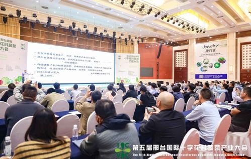 小種子撬動(dòng)大產(chǎn)業(yè) 第五屆邢臺(tái)國際十字花科蔬菜產(chǎn)業(yè)大會(huì)盛大啟幕