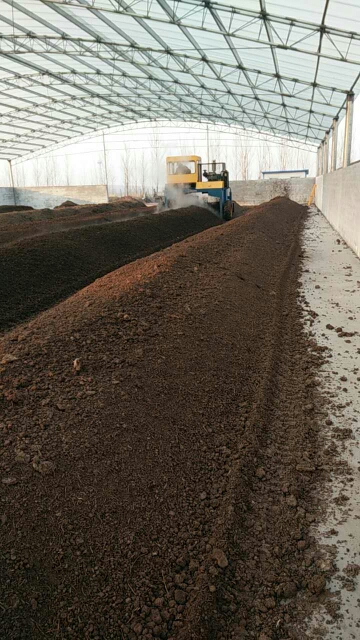 雞糞發(fā)酵有機(jī)肥的市場前景與生產(chǎn)策略分析