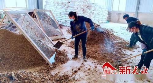 沃土富民路，生態(tài)高橋村 發(fā)展有機(jī)肥料產(chǎn)業(yè)，書寫鄉(xiāng)村振興新篇章